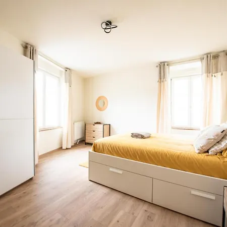 Mulhouse By Hardt Appartement Buitenkant foto